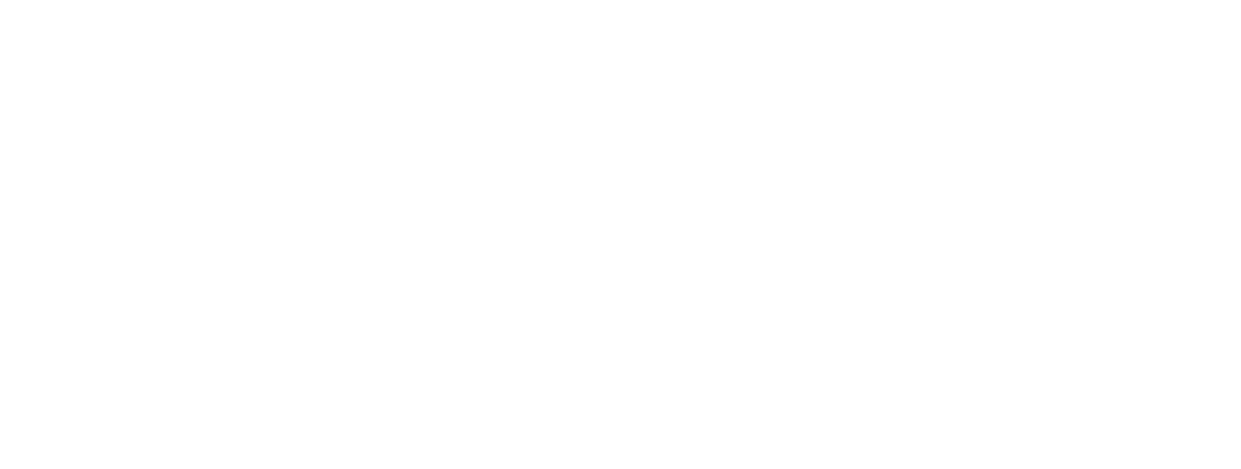 Dispatch Scout